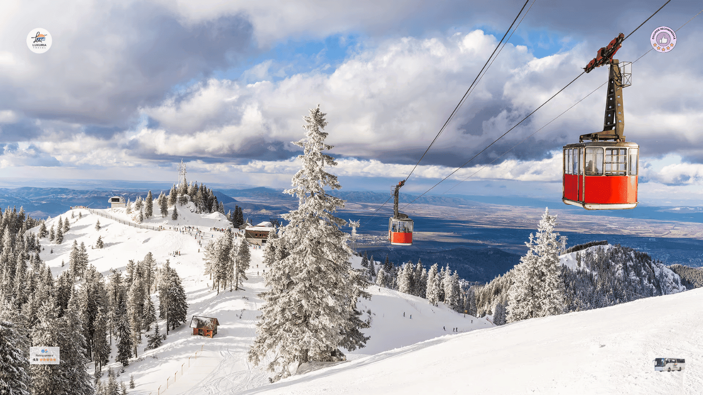 Excursie 1 zi Sanius la Poiana Brasov