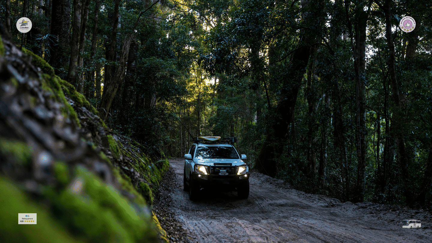 Excursie 1 zi Aventură cu Mașini 4x4 în Sinaia - Transbucegi și Lacul Bolboci
