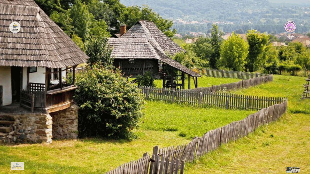 Excursie 1 zi Relaxare pe Valea Oltului